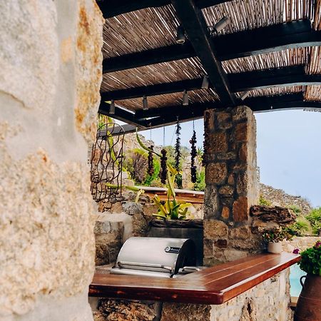 Villa Dimilia Mykonos Town エクステリア 写真