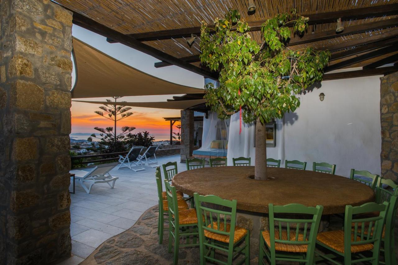 Villa Dimilia Mykonos Town エクステリア 写真
