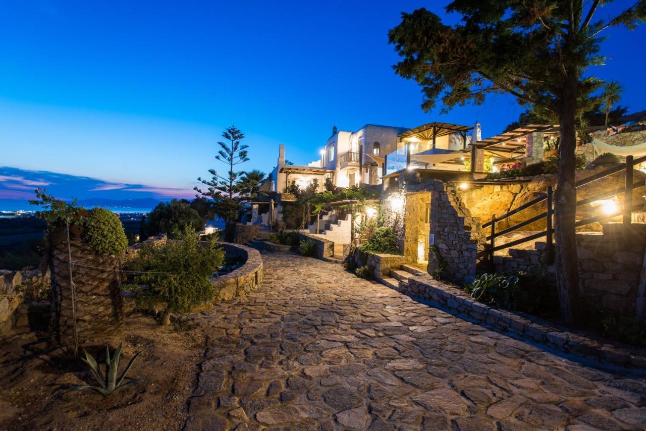 Villa Dimilia Mykonos Town エクステリア 写真